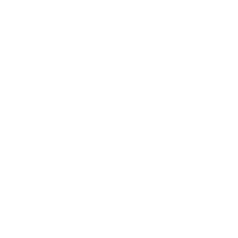 Logo Sabrina Bihn Webdesign und Marketing